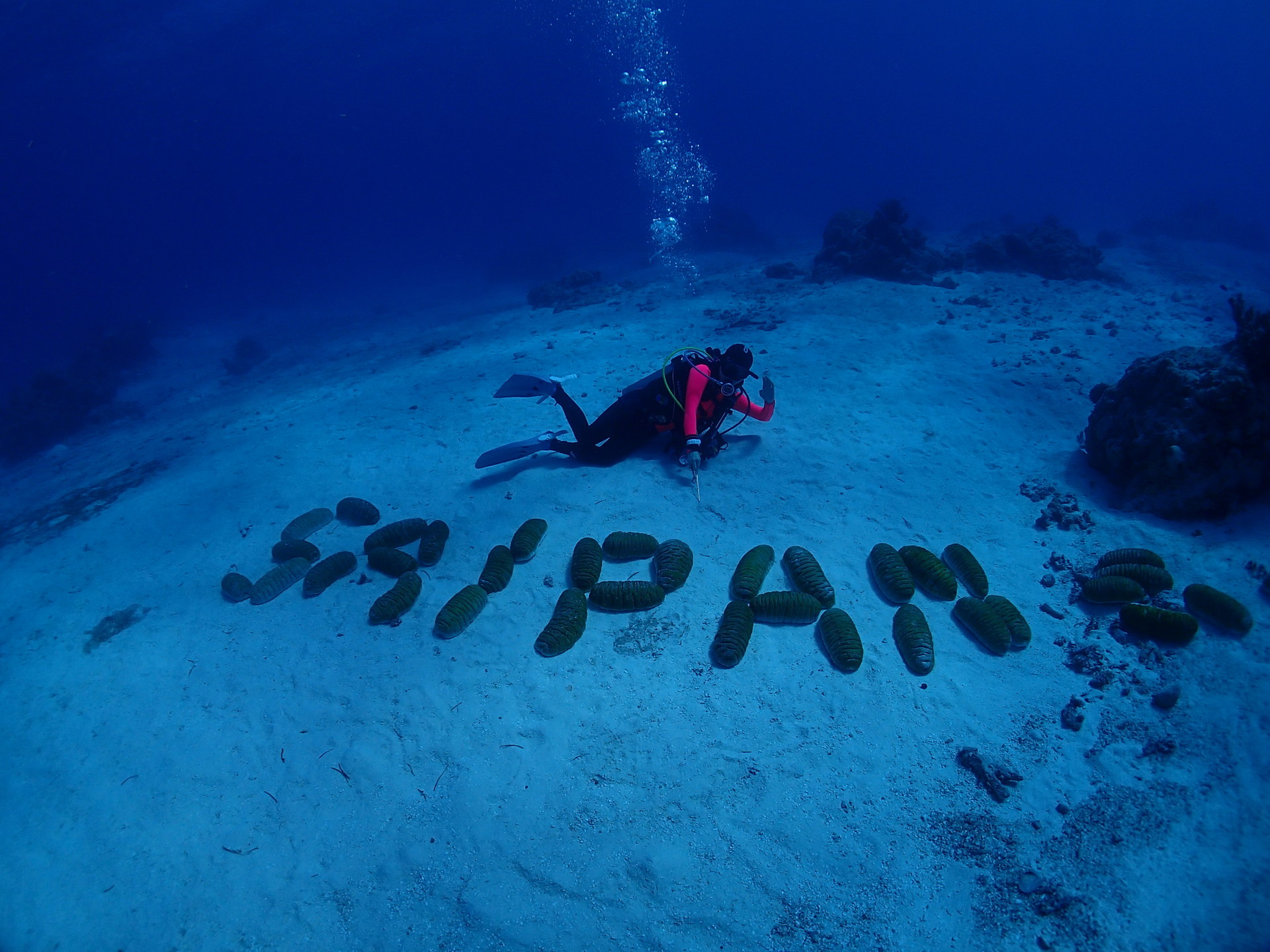 사이판 B29 다이빙 포인트 모래바닥에 산호로 만들어 둔 SAIPAN 글자와 다이버
